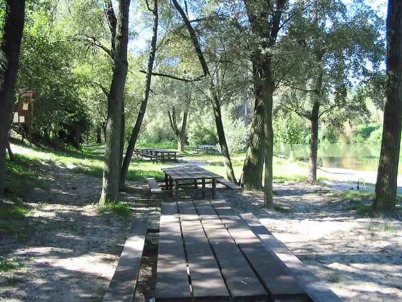 Area attrezzata per il pic-nic sulla riva del Po (Foto Amici del Po)