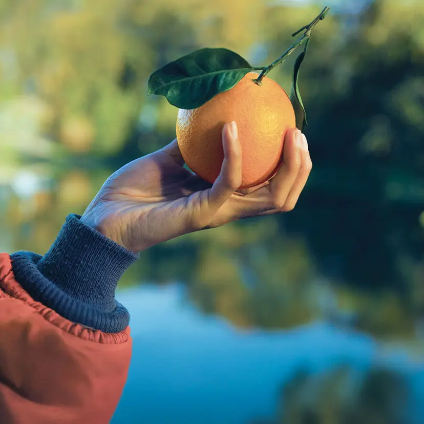 Arance della Salute 2026