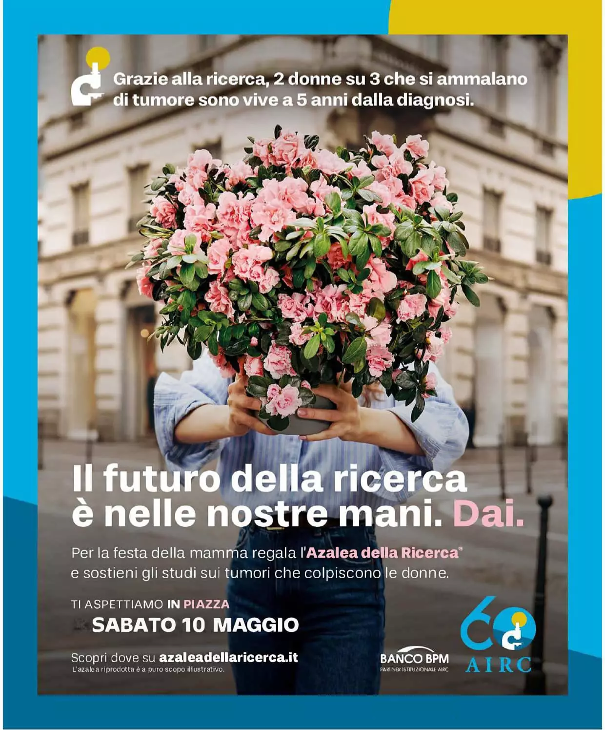 Azalea della ricerca 2025