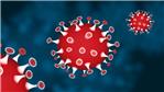 coronavirus norme