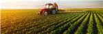 ASTA PUBBLICA PER AFFITTO TERRENI AGRICOLI DI PROPRIETA' COMUNALE