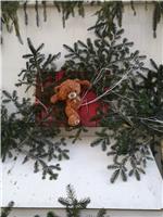Buon Natale anche a te - Villafranca Piemonte