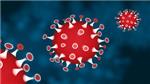 coronavirus norme