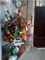 Albero di Natale di Alimentari 