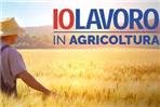 io lavoro in agricoltura piemonte