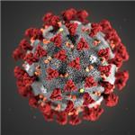 coronavirus norme