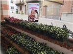 azalea 2022 Villafranca Piemonte